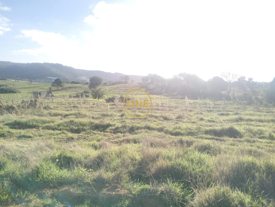 Terreno para Venda em Encarnação Foto 7