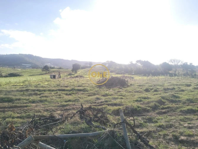 Terreno para Venda em Encarnação Foto 6