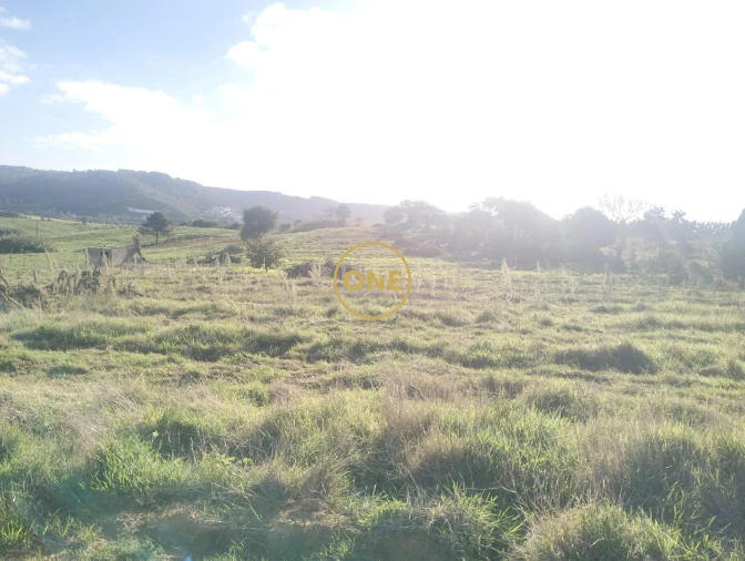 Terreno para Venda em Encarnação Foto 7