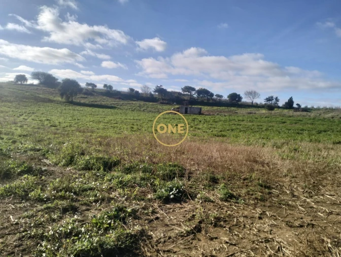 Terreno para Venda em Encarnação Foto 10