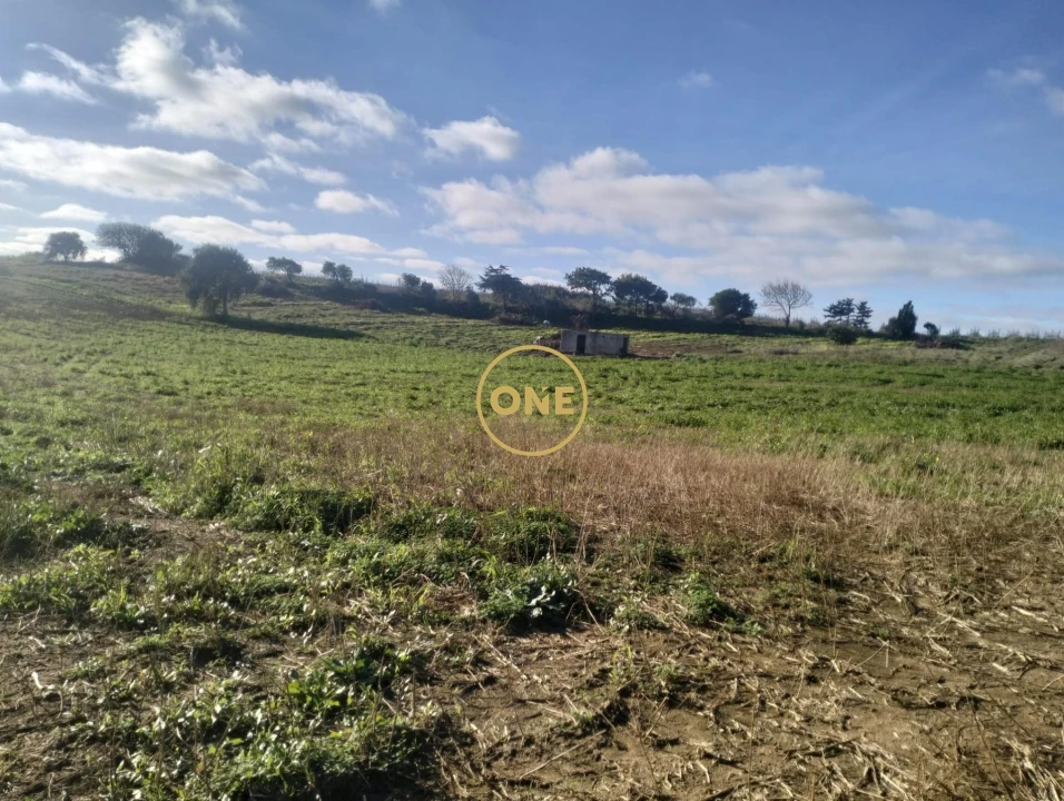 Terreno para Venda em Encarnação Foto 10