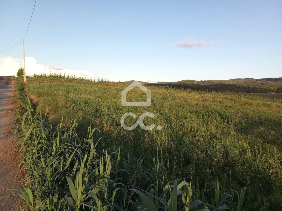 Terreno para Venda em Lamas e Cercal Foto 6