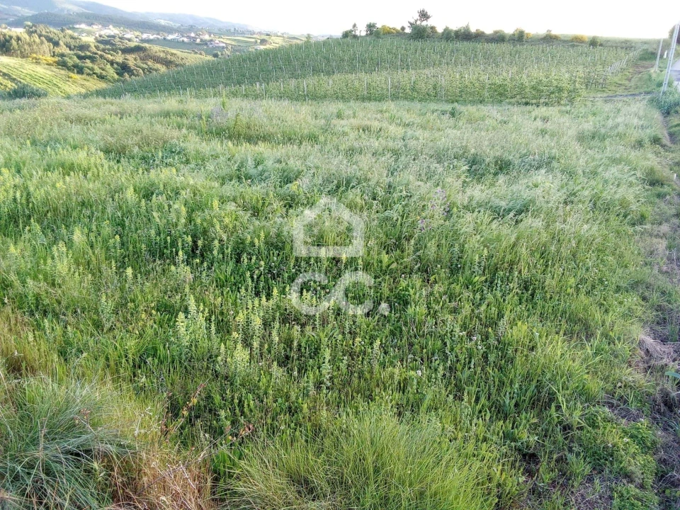 Terreno para Venda em Lamas e Cercal Foto 4