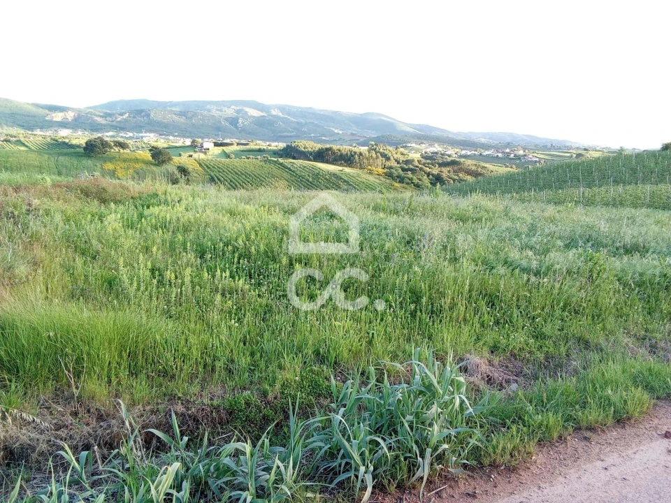 Terreno para Venda em Lamas e Cercal Foto 5