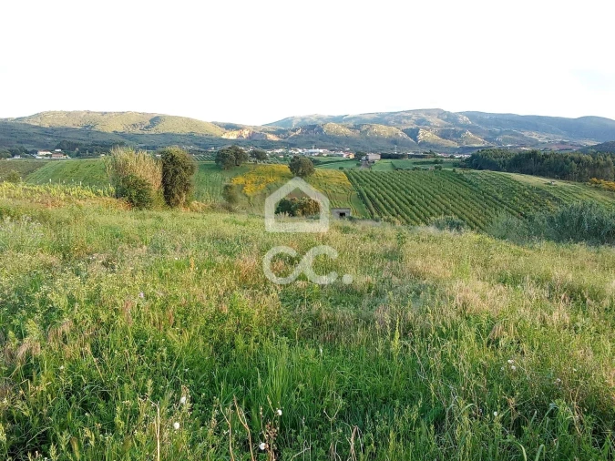 Terreno para Venda em Lamas e Cercal Foto 1