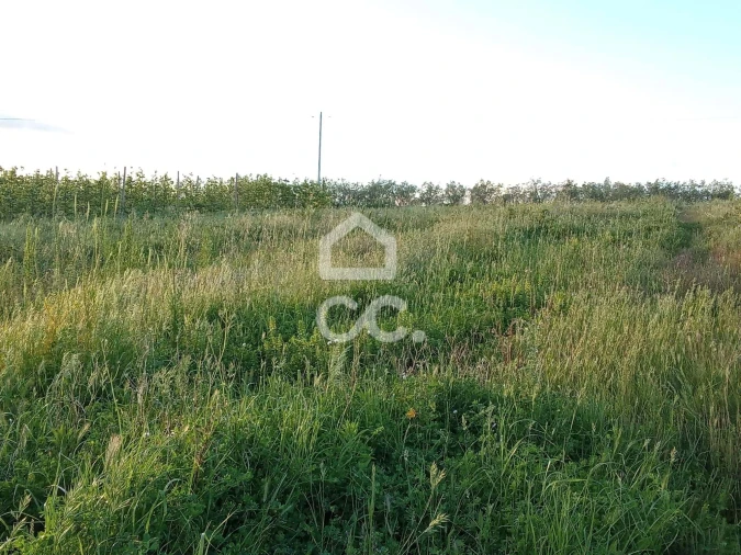 Terreno para Venda em Lamas e Cercal Foto 7