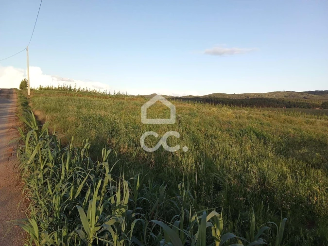 Terreno para Venda em Lamas e Cercal Foto 6