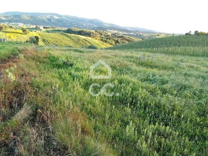 Terreno para Venda em Lamas e Cercal Foto 3