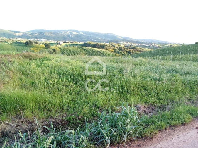 Terreno para Venda em Lamas e Cercal Foto 5