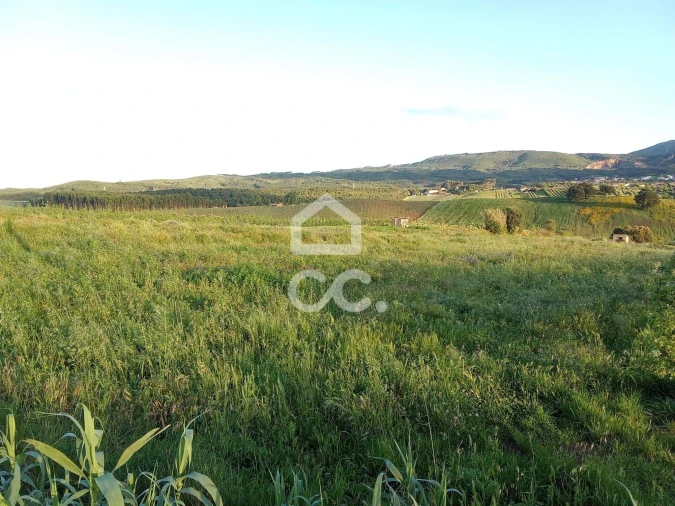 Terreno para Venda em Lamas e Cercal Foto 2