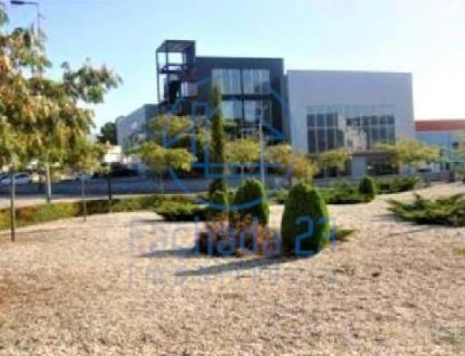 Escritório para Venda em Santa Cruz/Trindade e Sanjurge Foto 4