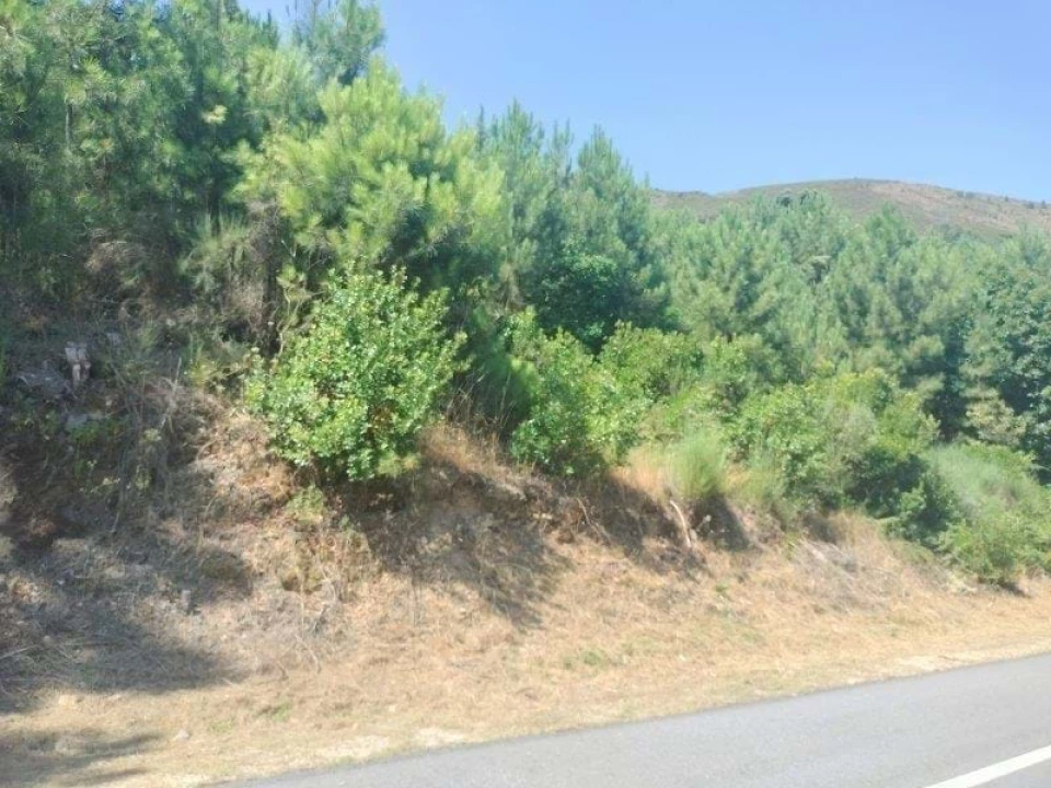 Terreno para Venda em Nossa Senhora da Conceição, São Pedro e São Dinis Foto 1