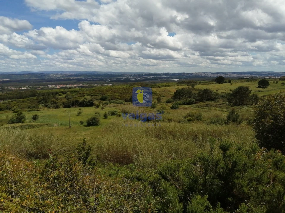 Terreno para Venda em Caldas da Rainha - Santo Onofre e Serra do Bouro Foto 2