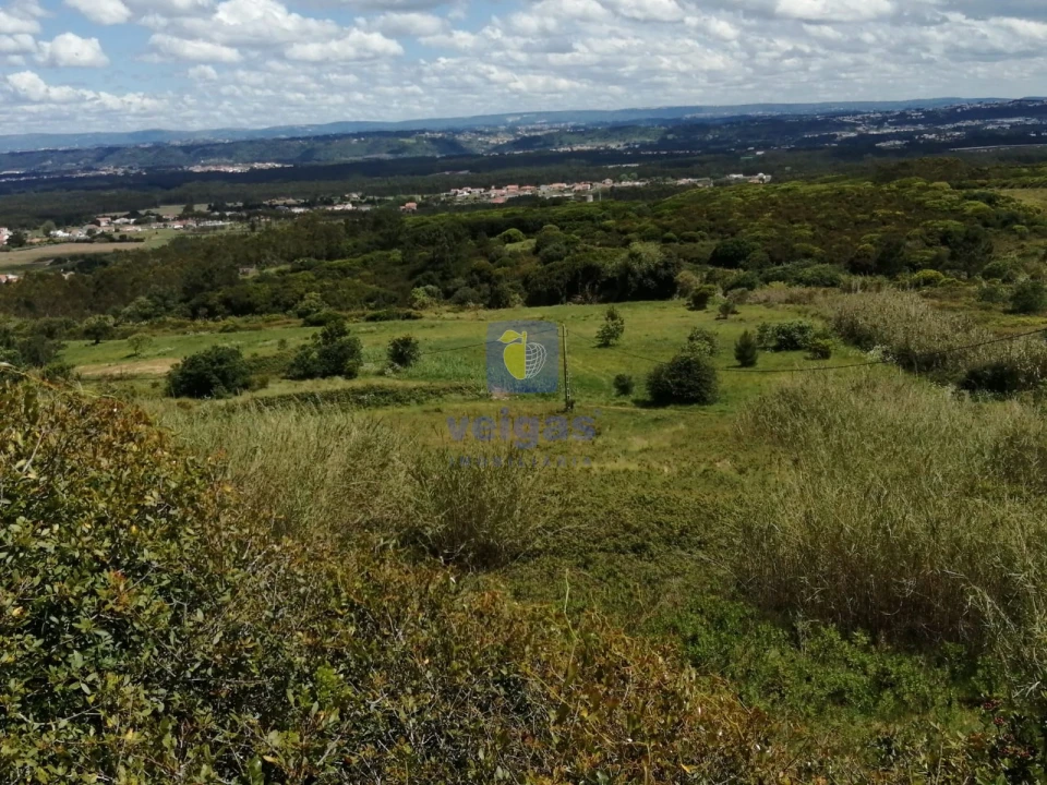 Terreno para Venda em Caldas da Rainha - Santo Onofre e Serra do Bouro Foto 3