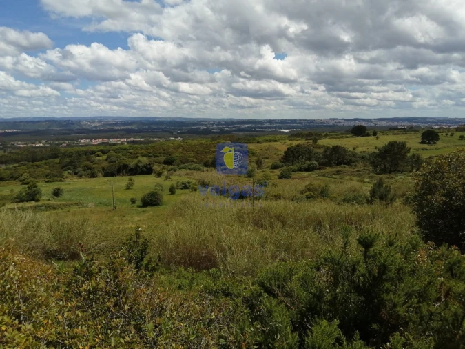 Terreno para Venda em Caldas da Rainha - Santo Onofre e Serra do Bouro Foto 2