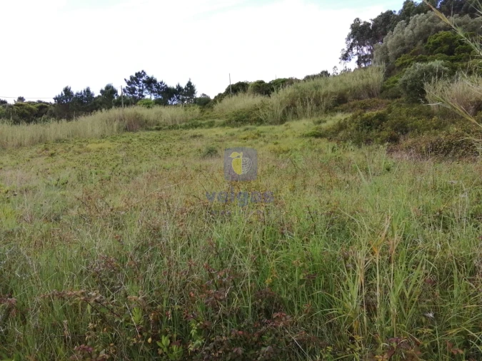Terreno para Venda em Caldas da Rainha - Santo Onofre e Serra do Bouro Foto 22