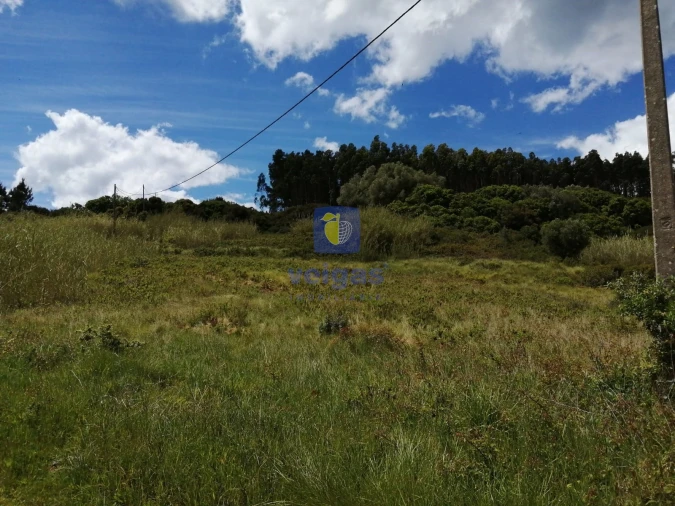 Terreno para Venda em Caldas da Rainha - Santo Onofre e Serra do Bouro Foto 15