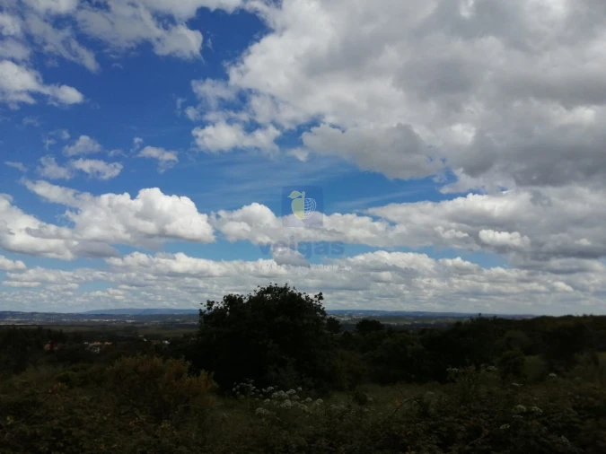 Terreno para Venda em Caldas da Rainha - Santo Onofre e Serra do Bouro Foto 18