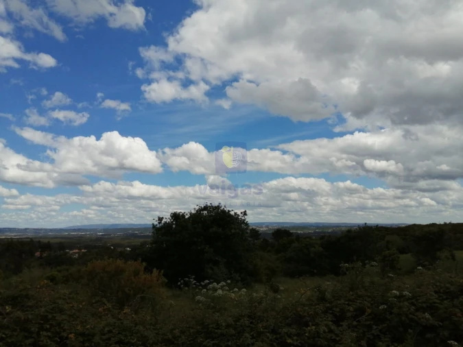 Terreno para Venda em Caldas da Rainha - Santo Onofre e Serra do Bouro Foto 17