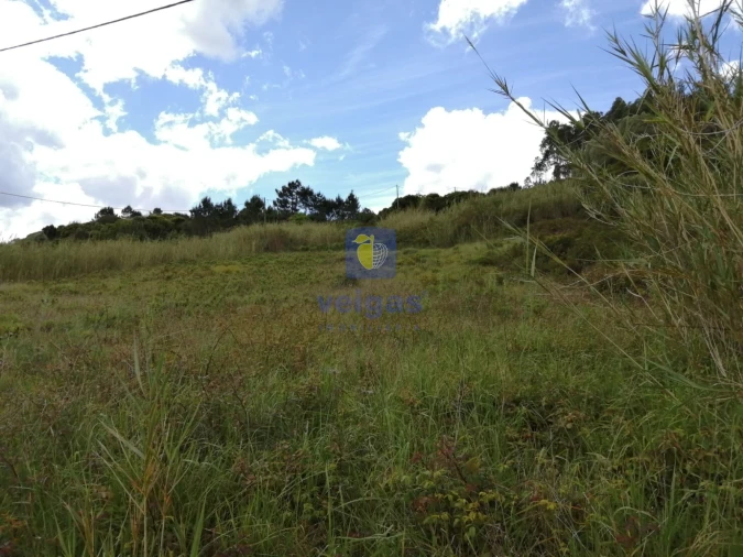 Terreno para Venda em Caldas da Rainha - Santo Onofre e Serra do Bouro Foto 19