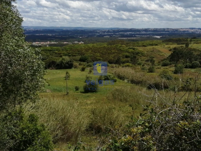Terreno para Venda em Caldas da Rainha - Santo Onofre e Serra do Bouro Foto 10