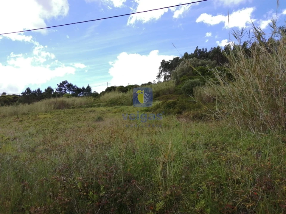 Terreno para Venda em Caldas da Rainha - Santo Onofre e Serra do Bouro Foto 20
