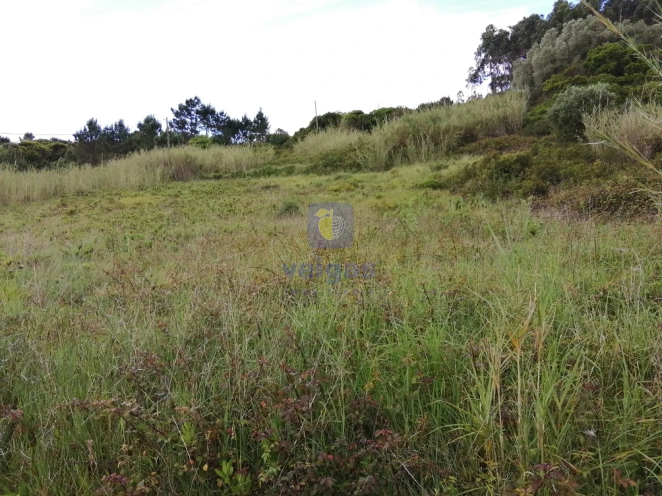 Terreno para Venda em Caldas da Rainha - Santo Onofre e Serra do Bouro Foto 9