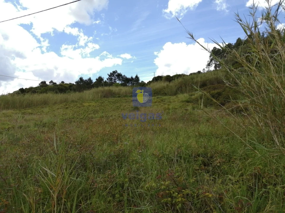 Terreno para Venda em Caldas da Rainha - Santo Onofre e Serra do Bouro Foto 8