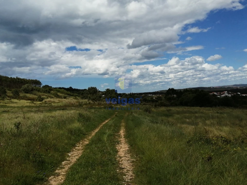 Terreno para Venda em Caldas da Rainha - Santo Onofre e Serra do Bouro Foto 11