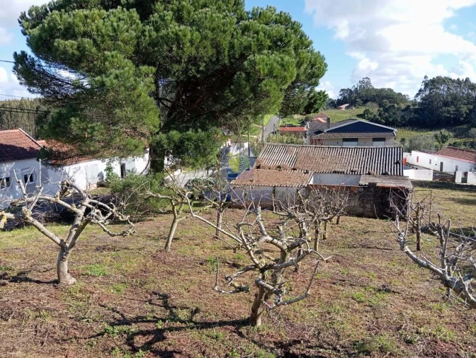 Terreno para Venda em Alvorninha Foto 5