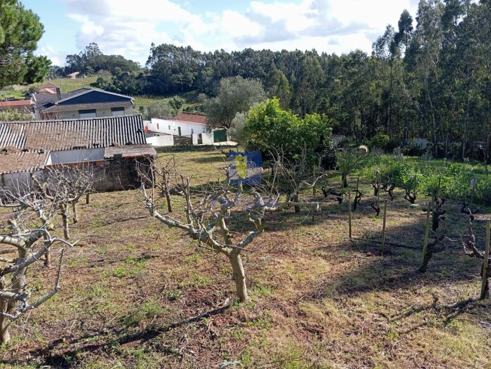 Terreno para Venda em Alvorninha Foto 6