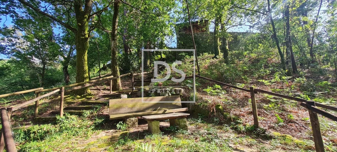 Quinta T9 para Venda em Santa Clara de Louredo Foto 35