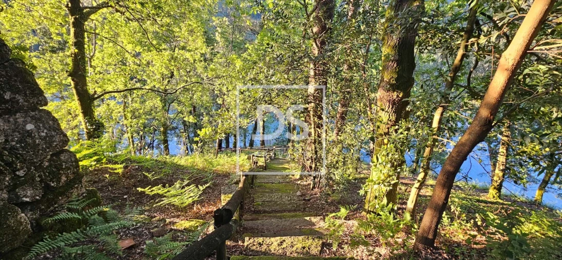 Quinta T9 para Venda em Santa Clara de Louredo Foto 34