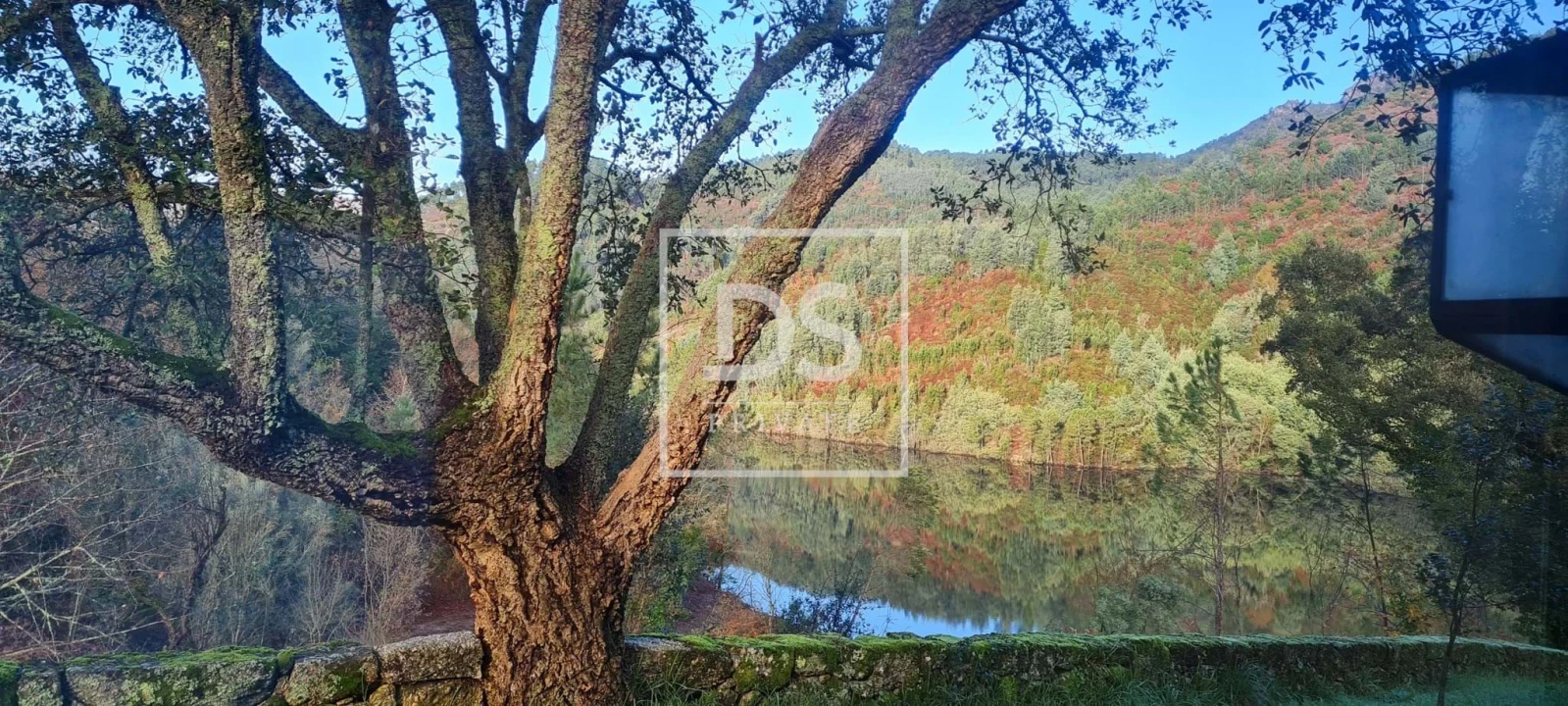 Quinta T9 para Venda em Santa Clara de Louredo Foto 30