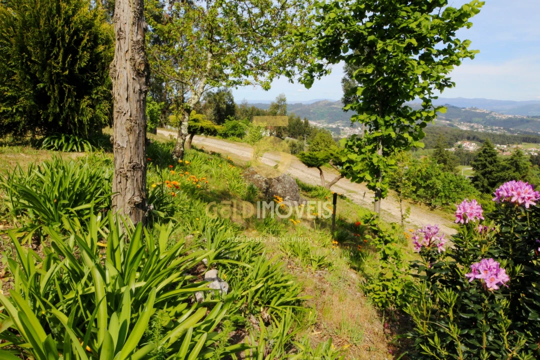 Terreno para Venda em Recezinhos (São Mamede) Foto 16