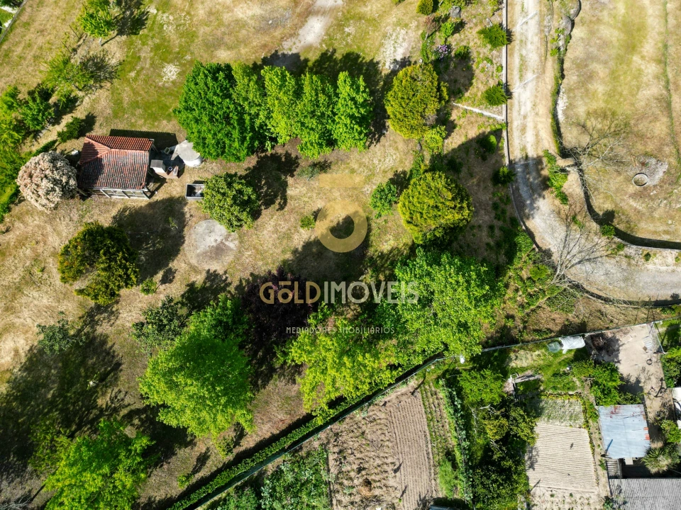 Terreno para Venda em Recezinhos (São Mamede) Foto 5