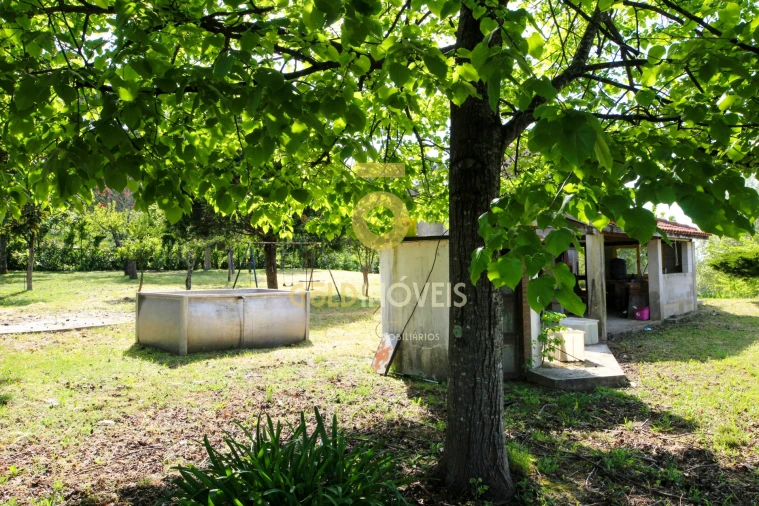 Terreno para Venda em Recezinhos (São Mamede) Foto 7