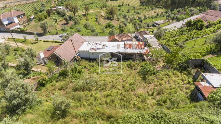 Moradia T3 para Venda em Raiva, Pedorido e Paraíso Foto 3