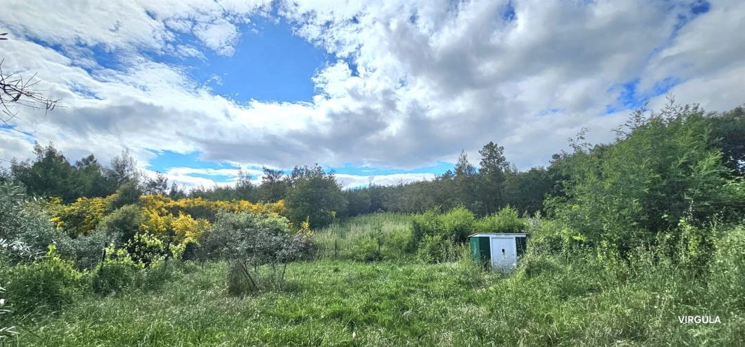 Moradia T1 para Venda em Peso e Vales do Rio Foto 13