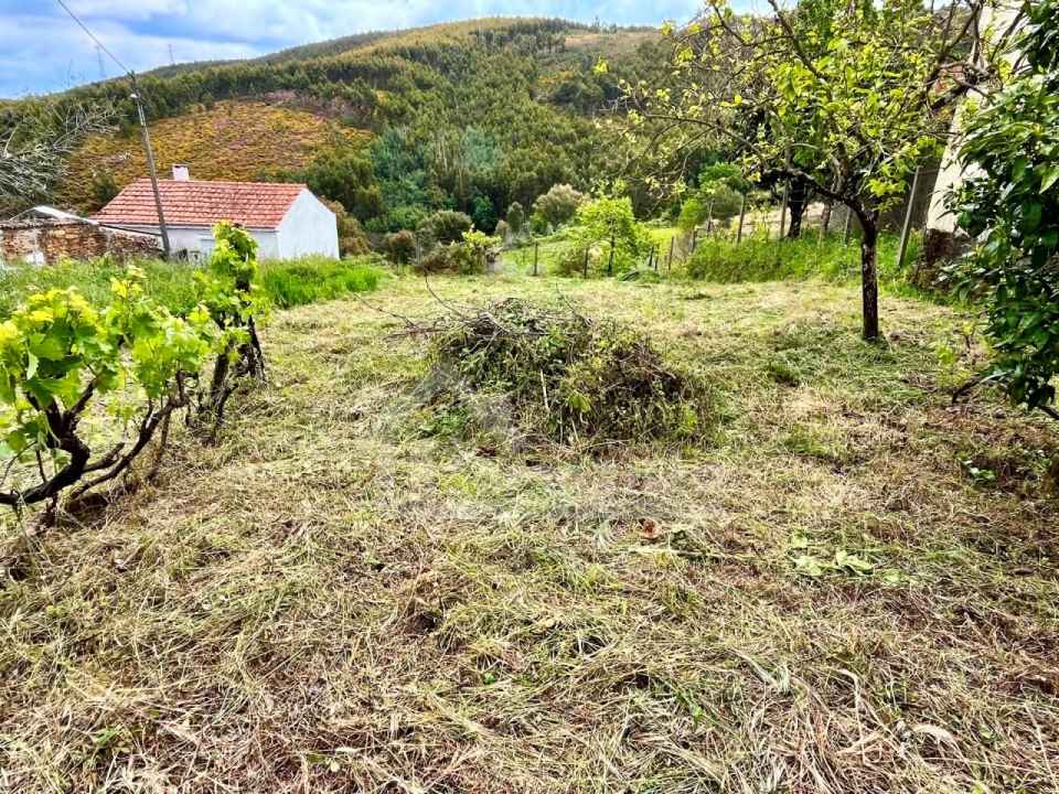 Moradia T2 para Venda em Campelo Foto 3