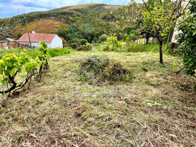 Moradia T2 para Venda em Campelo Foto 3