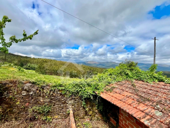 Moradia T2 para Venda em Campelo Foto 22