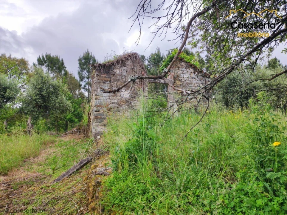 Terreno para Venda em Cernache do Bonjardim, Nesperal e Palhais Foto 1
