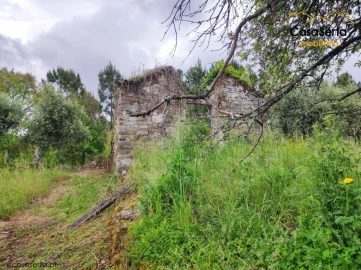 Terreno para Venda em Cernache do Bonjardim, Nesperal e Palhais