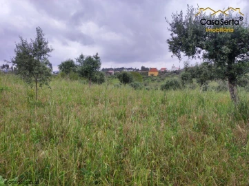 Terreno para Venda em Cernache do Bonjardim, Nesperal e Palhais