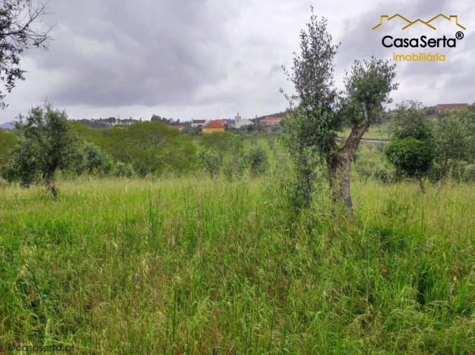 Terreno para Venda em Cernache do Bonjardim, Nesperal e Palhais Foto 4