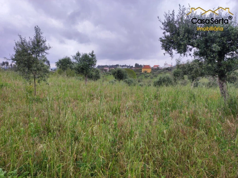 Terreno para Venda em Cernache do Bonjardim, Nesperal e Palhais Foto 2