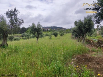 Terreno para Venda em Sertã