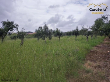 Terreno para Venda em Sertã