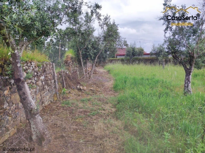 Terreno para Venda em Sertã